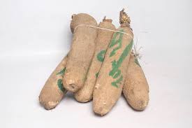 Tubers of Yam (Abuja Yam)